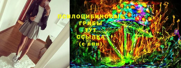 спиды Корсаков