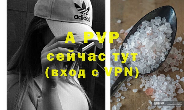 спиды Корсаков