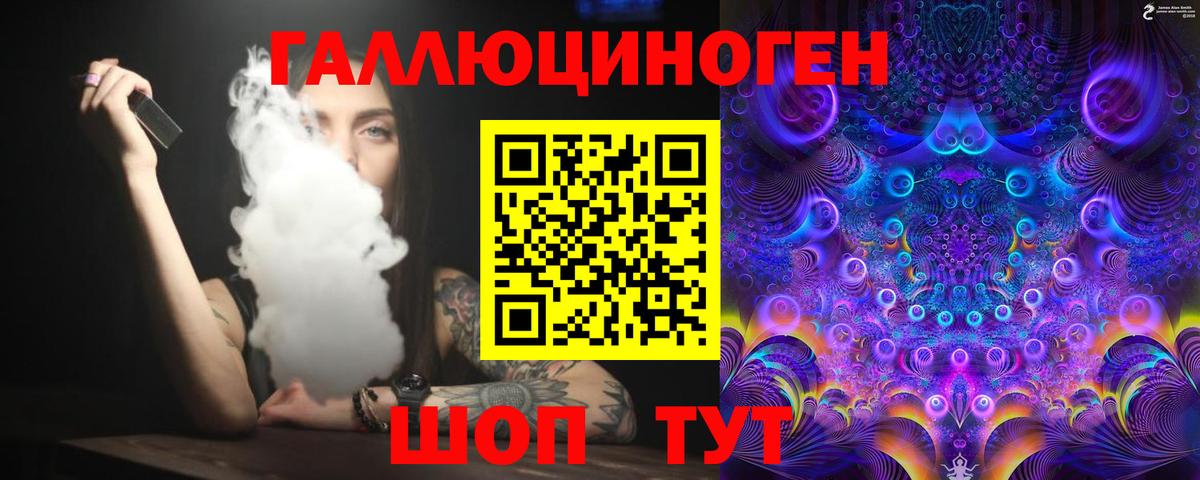 Псилоцибиновые грибы Psilocybe Нововоронеж