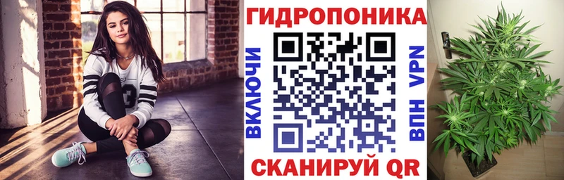МАРИХУАНА ГИДРОПОН купить omg ONION Нововоронеж